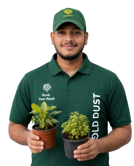 Gold Dust Gardening maali holding plants
