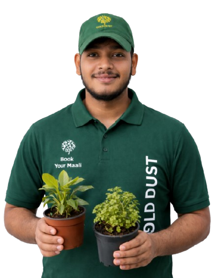 Gold Dust Gardening maali